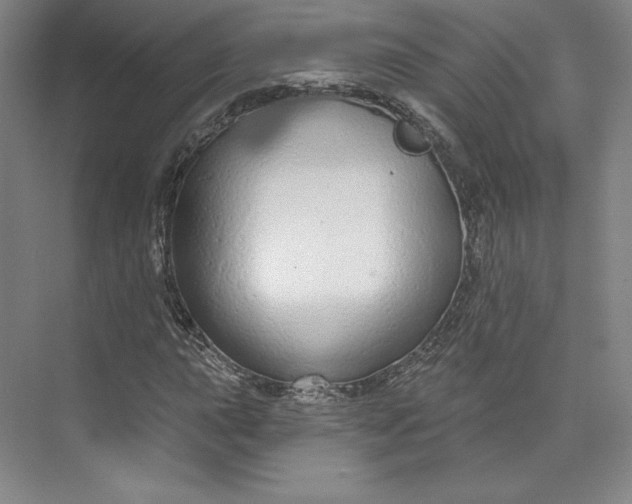 X0000073991015200609060952