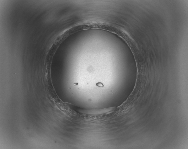 X0000073991016200609060952