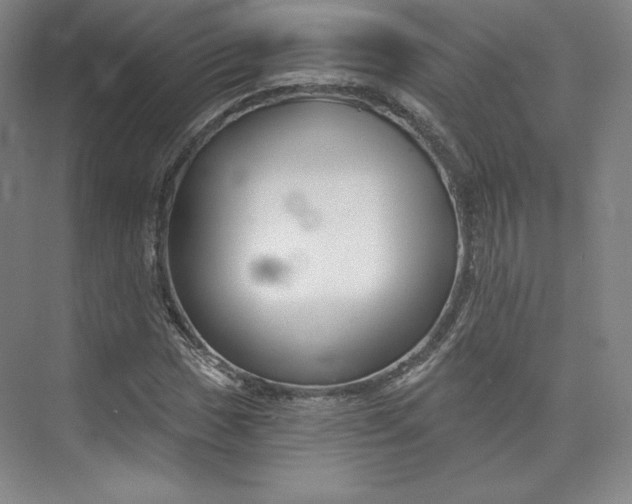 X0000073991017200609060952