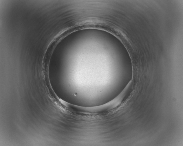 X0000073991018200609060952