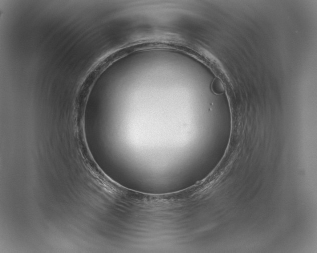 X0000073991019200609060952