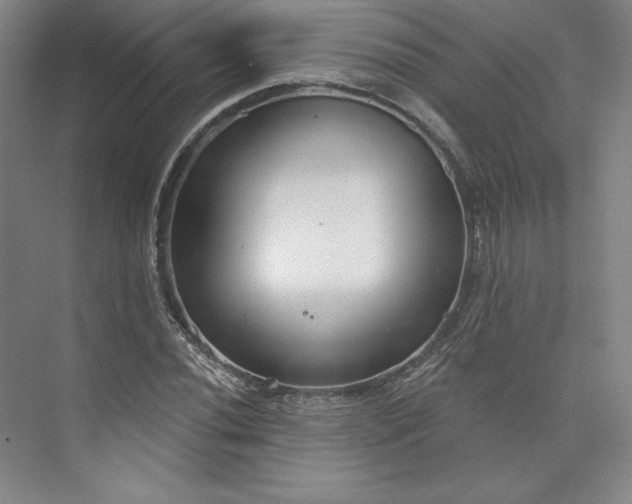 X0000073991020200609060952