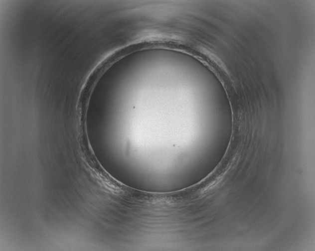 X0000073991021200609060952