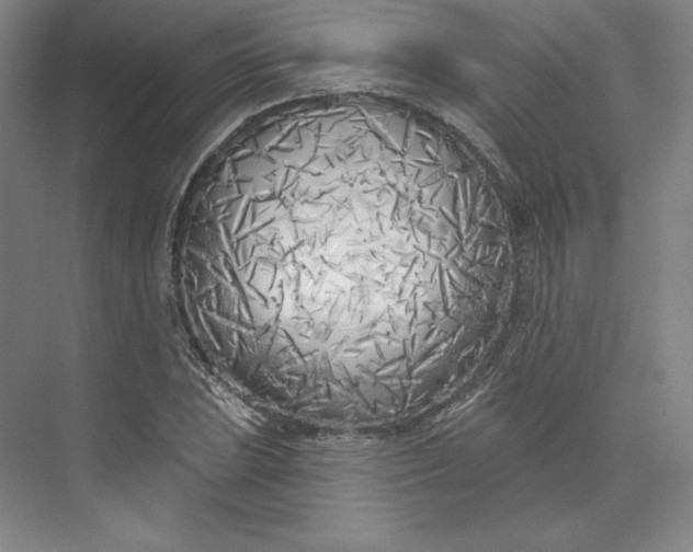 X0000073991023200609060952