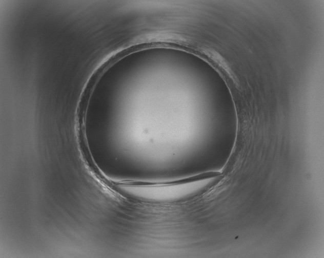 X0000073991024200609060952