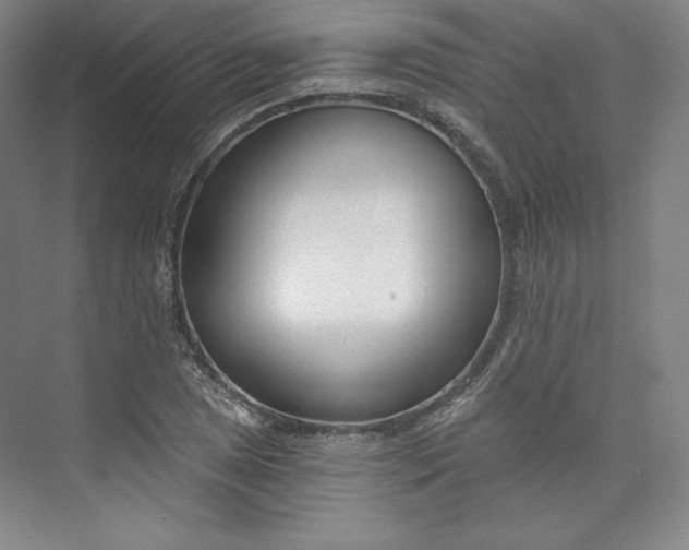 X0000073991025200609060952