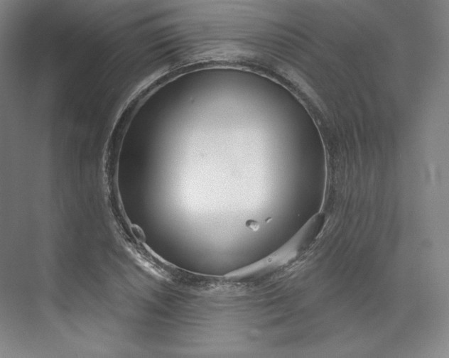 X0000073991026200609060952