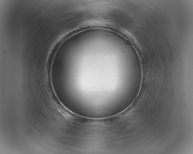 X0000073991027200609060952