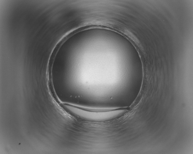 X0000073991028200609060952