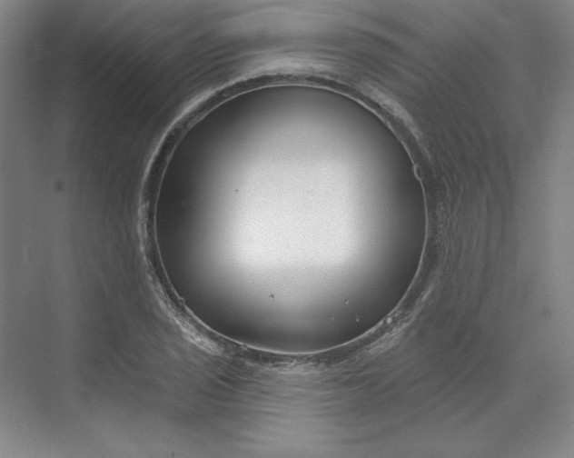 X0000073991029200609060952