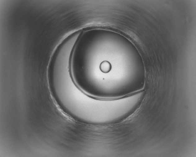 X0000073991030200609060952