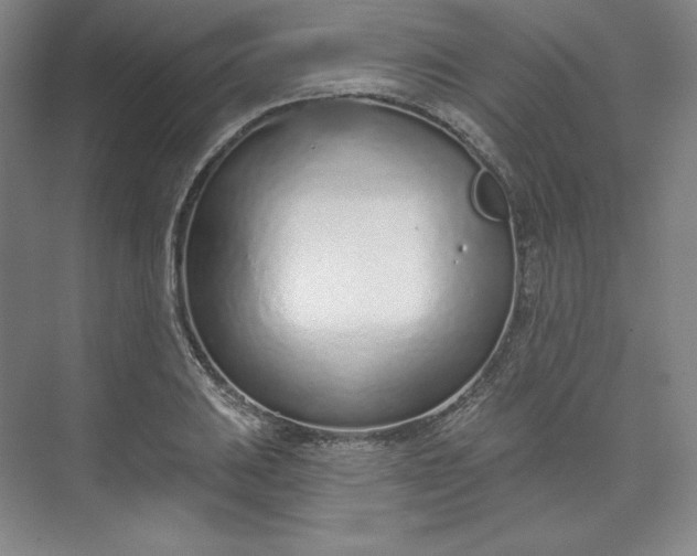 X0000073991031200609060952