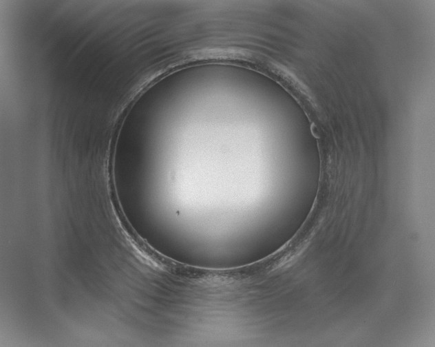 X0000073991033200609060952