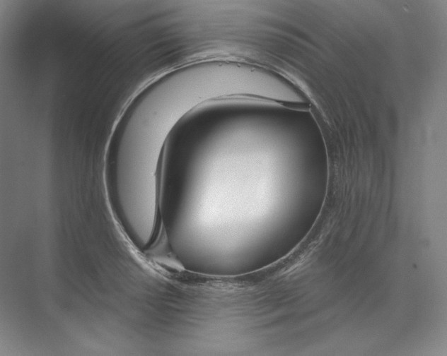 X0000073991034200609060952