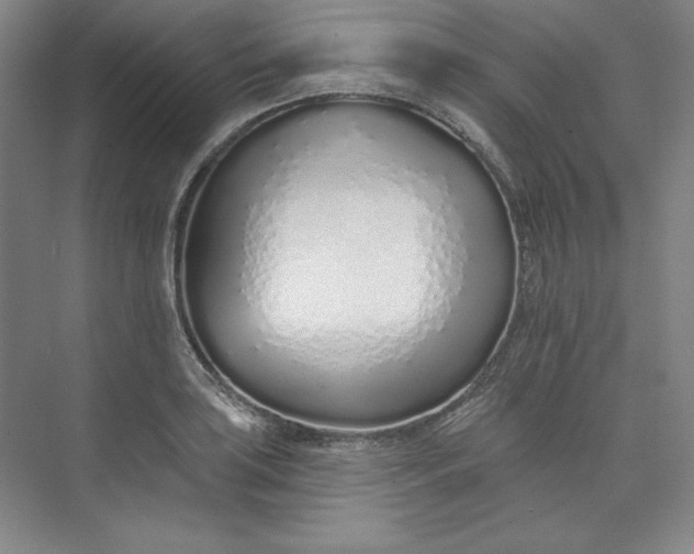 X0000073991035200609060952