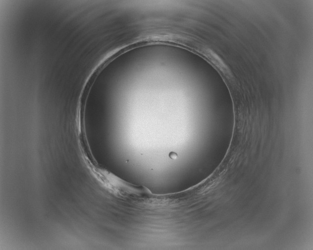 X0000073991036200609060952