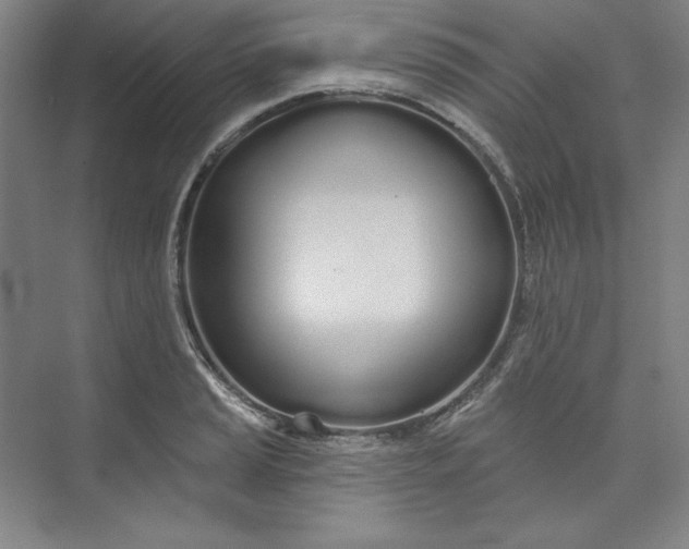 X0000073991037200609060952