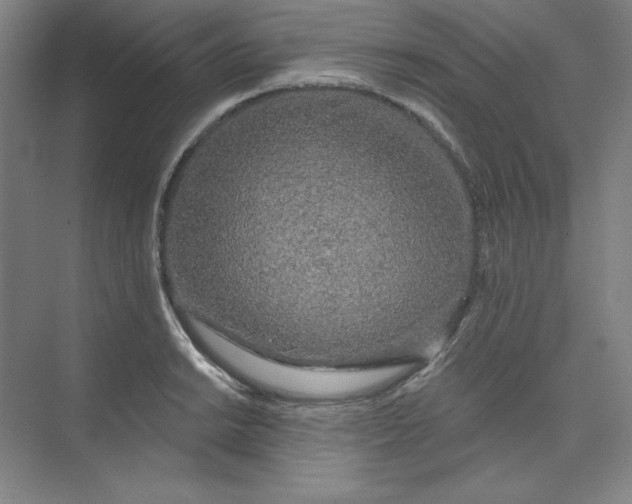 X0000073991038200609060952