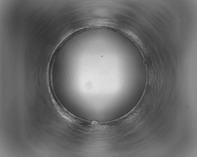 X0000073991039200609060952