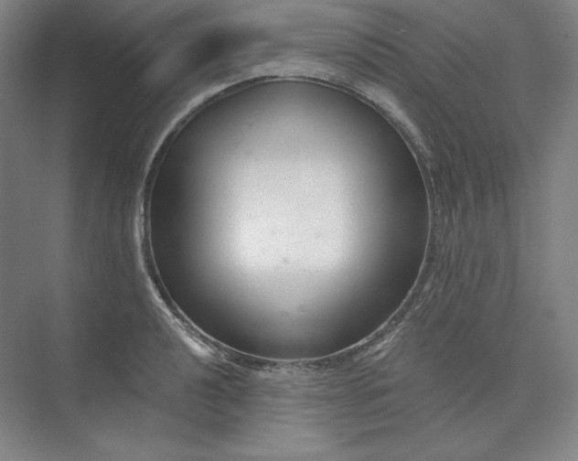 X0000073991040200609060952