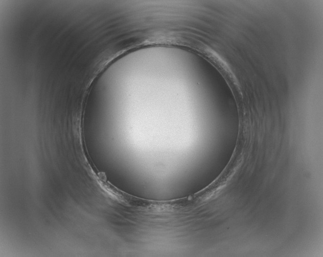 X0000073991041200609060952