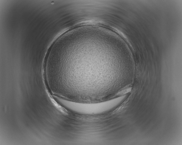 X0000073991042200609060952