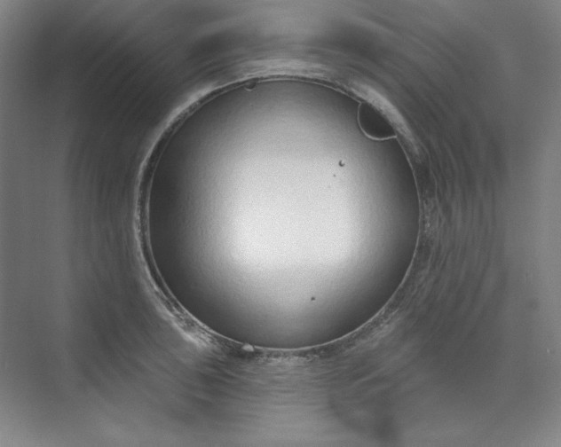 X0000073991043200609060952