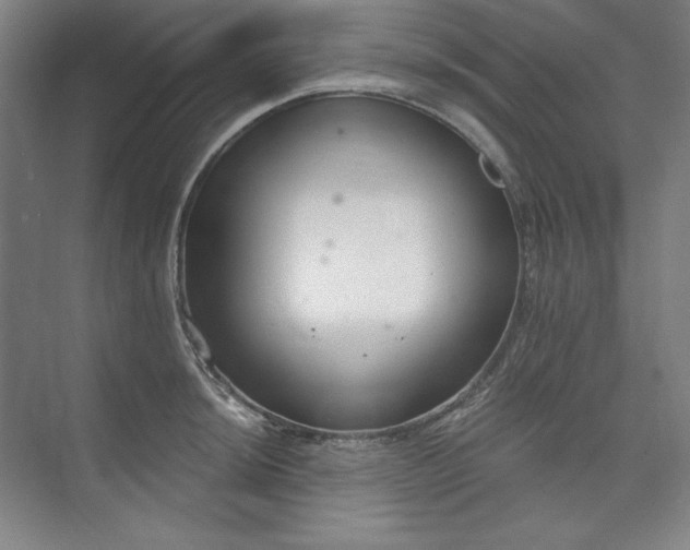 X0000073991044200609060952