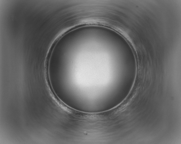 X0000073991045200609060952