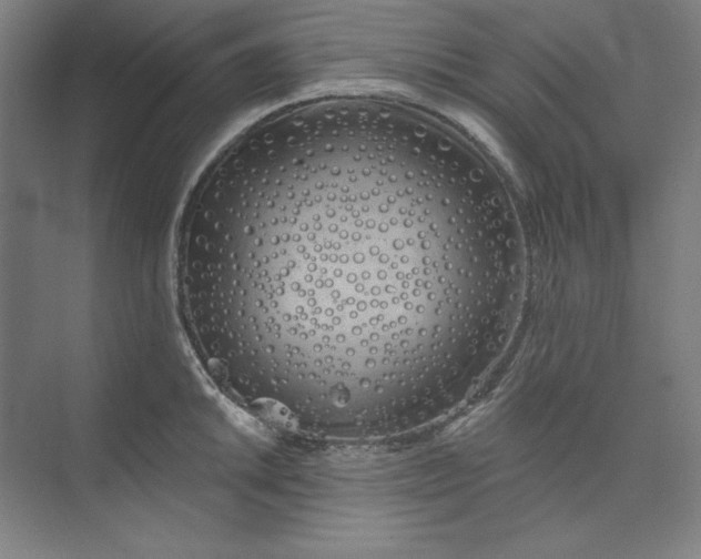 X0000073991046200609060952