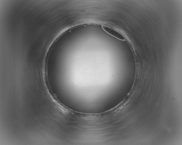 X0000073991048200609060952