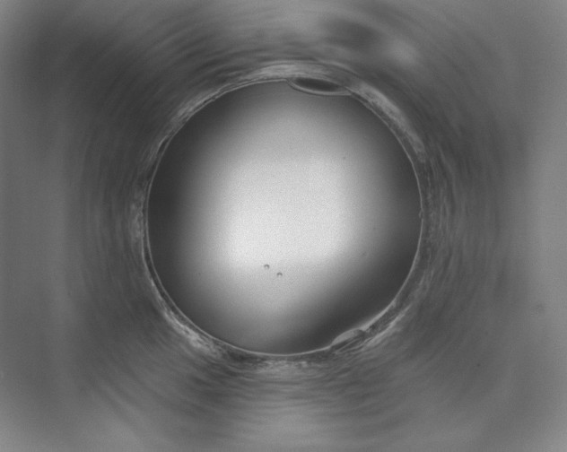 X0000073991049200609060952