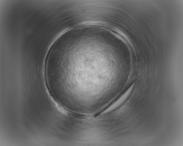 X0000073991050200609060952