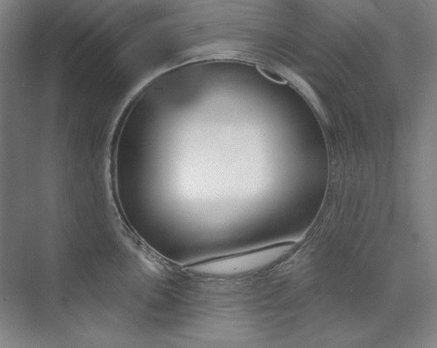 X0000073991051200609060953