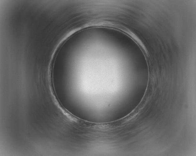 X0000073991053200609060953