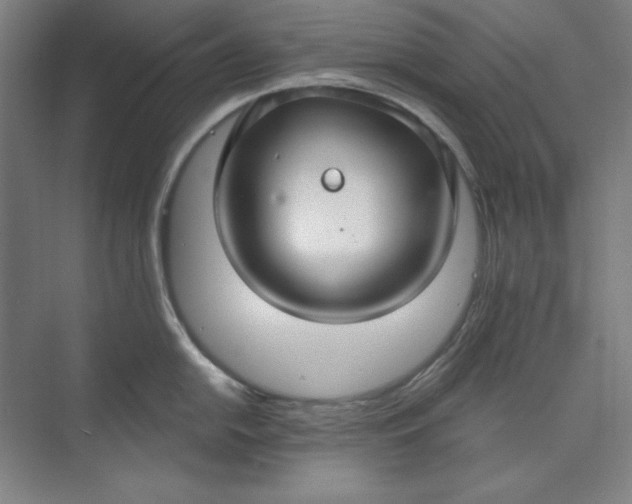 X0000073991054200609060953