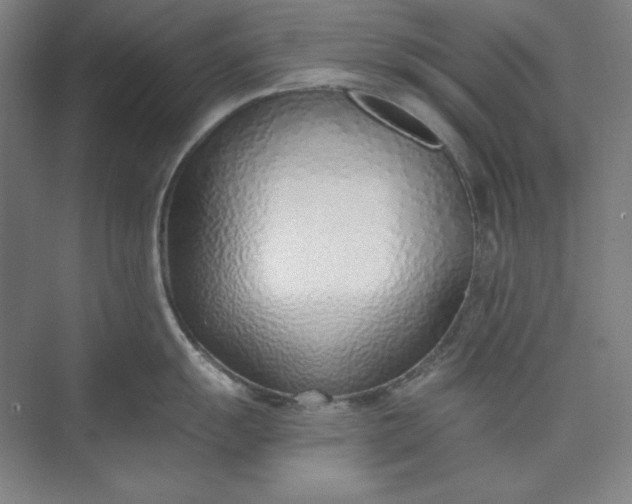 X0000073991055200609060953