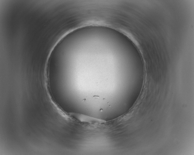 X0000073991056200609060953