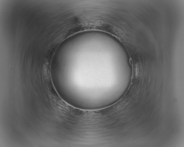 X0000073991059200609060952