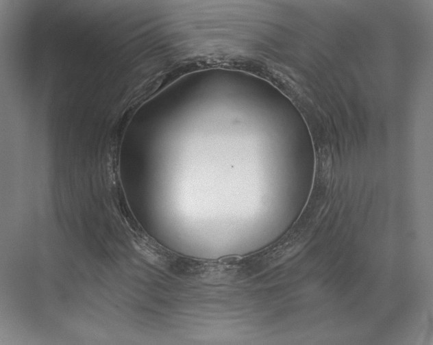 X0000073991060200609060952