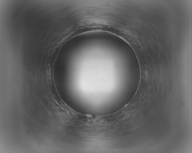 X0000073991061200609060952