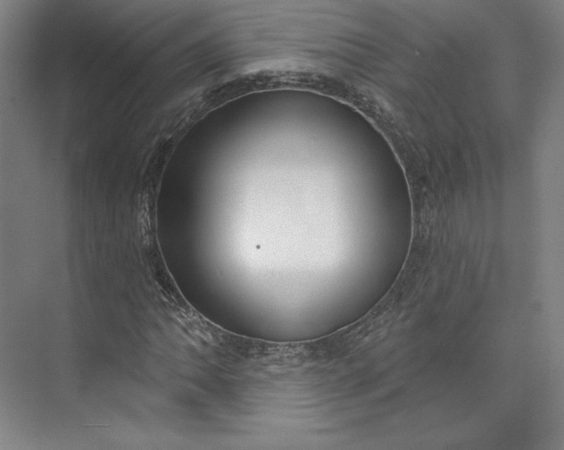 X0000073991062200609060952