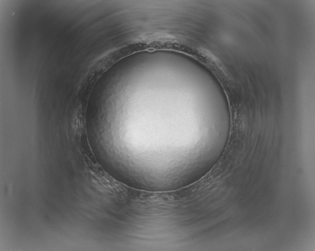 X0000073991063200609060952