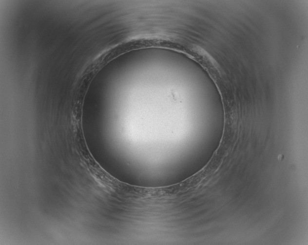 X0000073991064200609060952