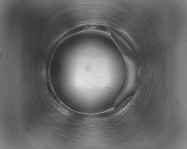 X0000073991065200609060952