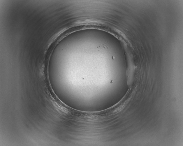 X0000073991066200609060952