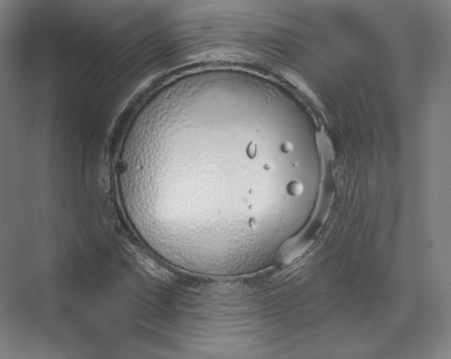 X0000073991067200609060952