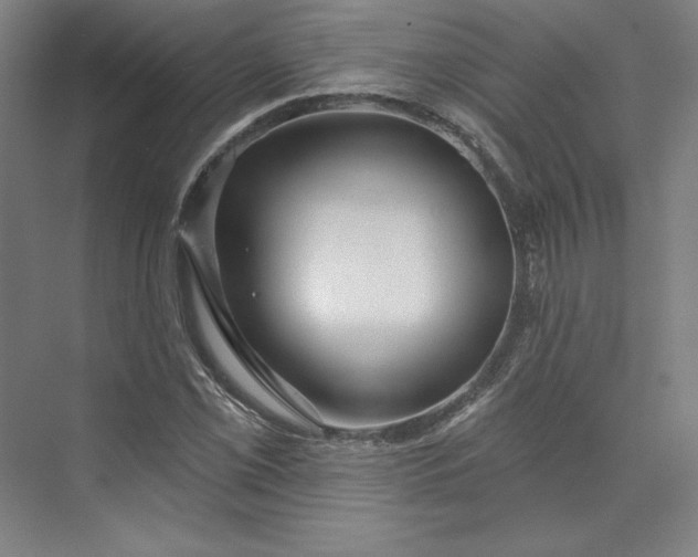 X0000073991069200609060952