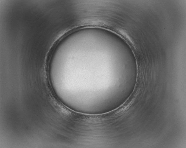 X0000073991071200609060952