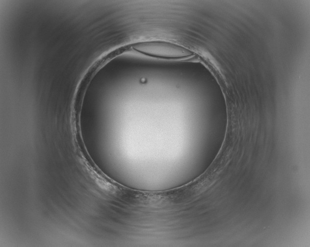 X0000073991072200609060952